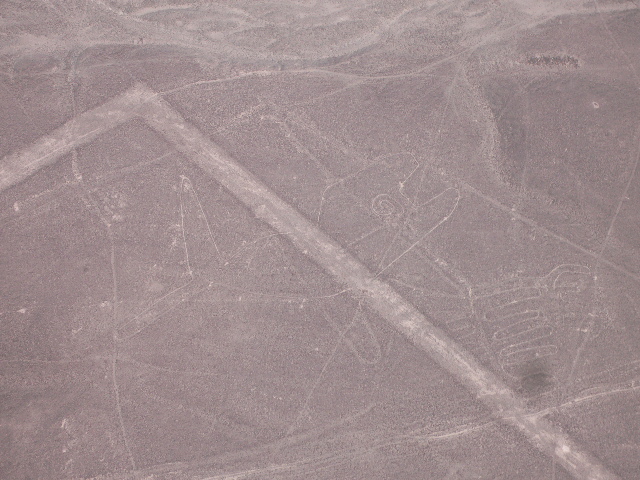 まんなかに線が入っていますが