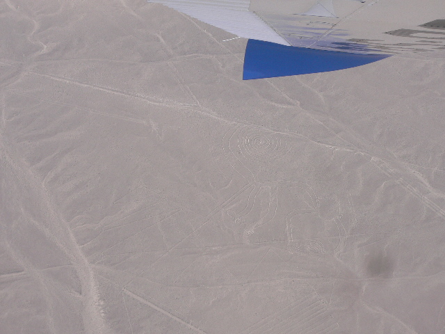 しっぽがグルグル