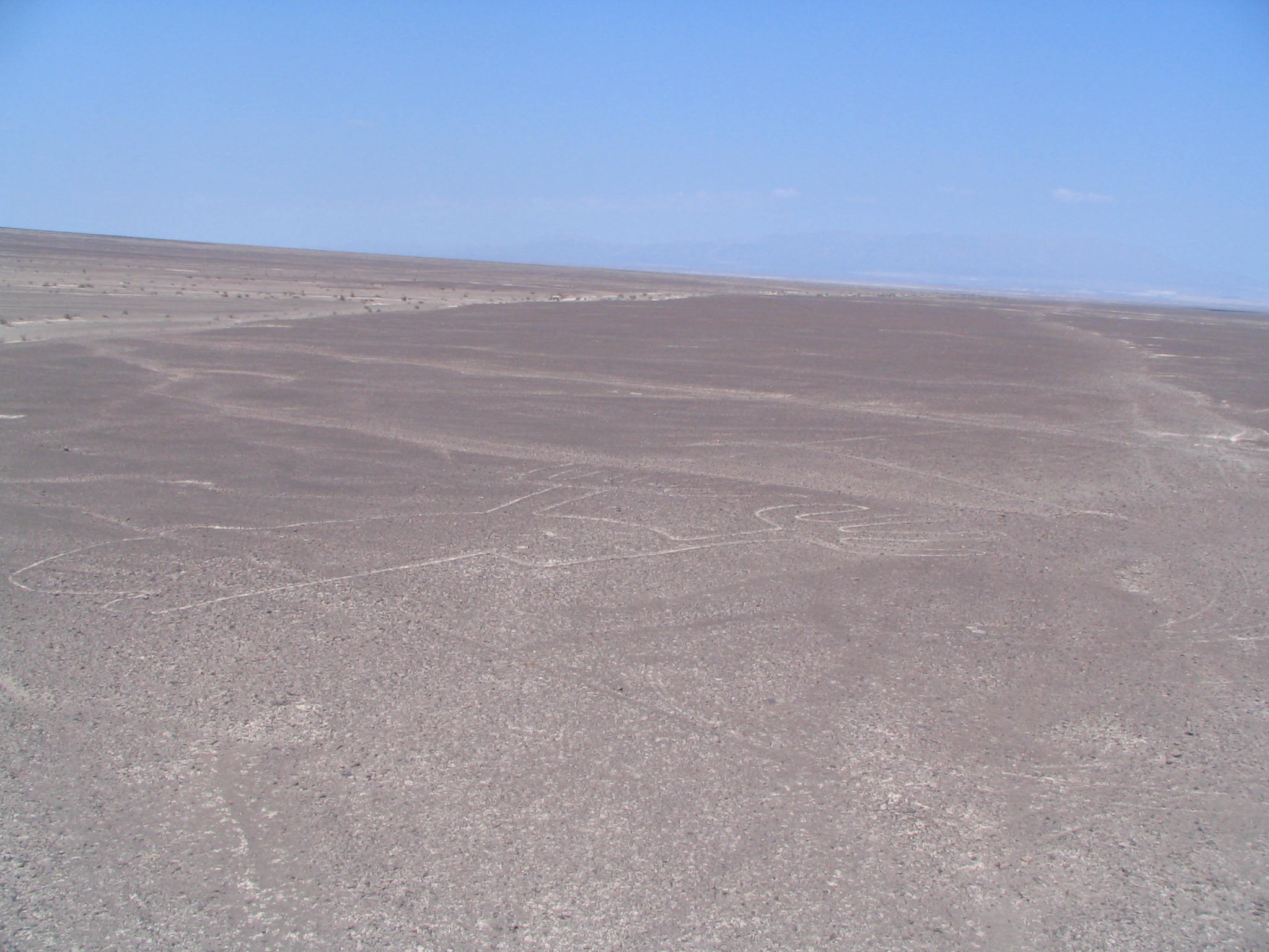 「手」が見えます