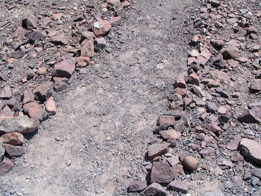 入っていい場所で撮りました