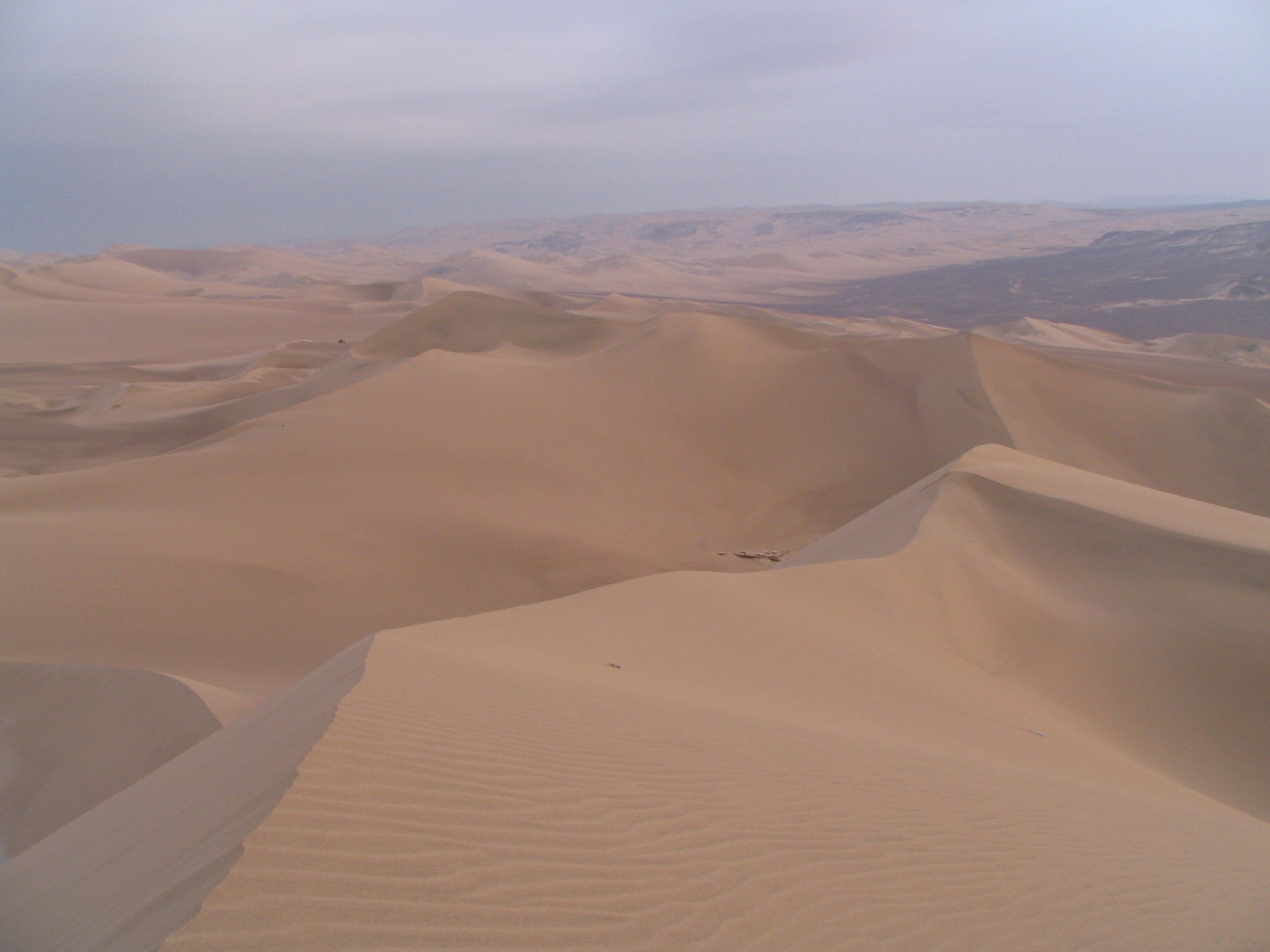 涙がでました。